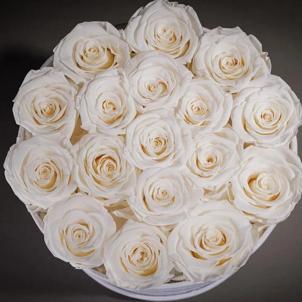 N/A classic roses